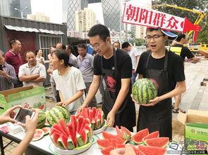 北京朝阳吃瓜,瓜界风云录，美食地图大揭秘